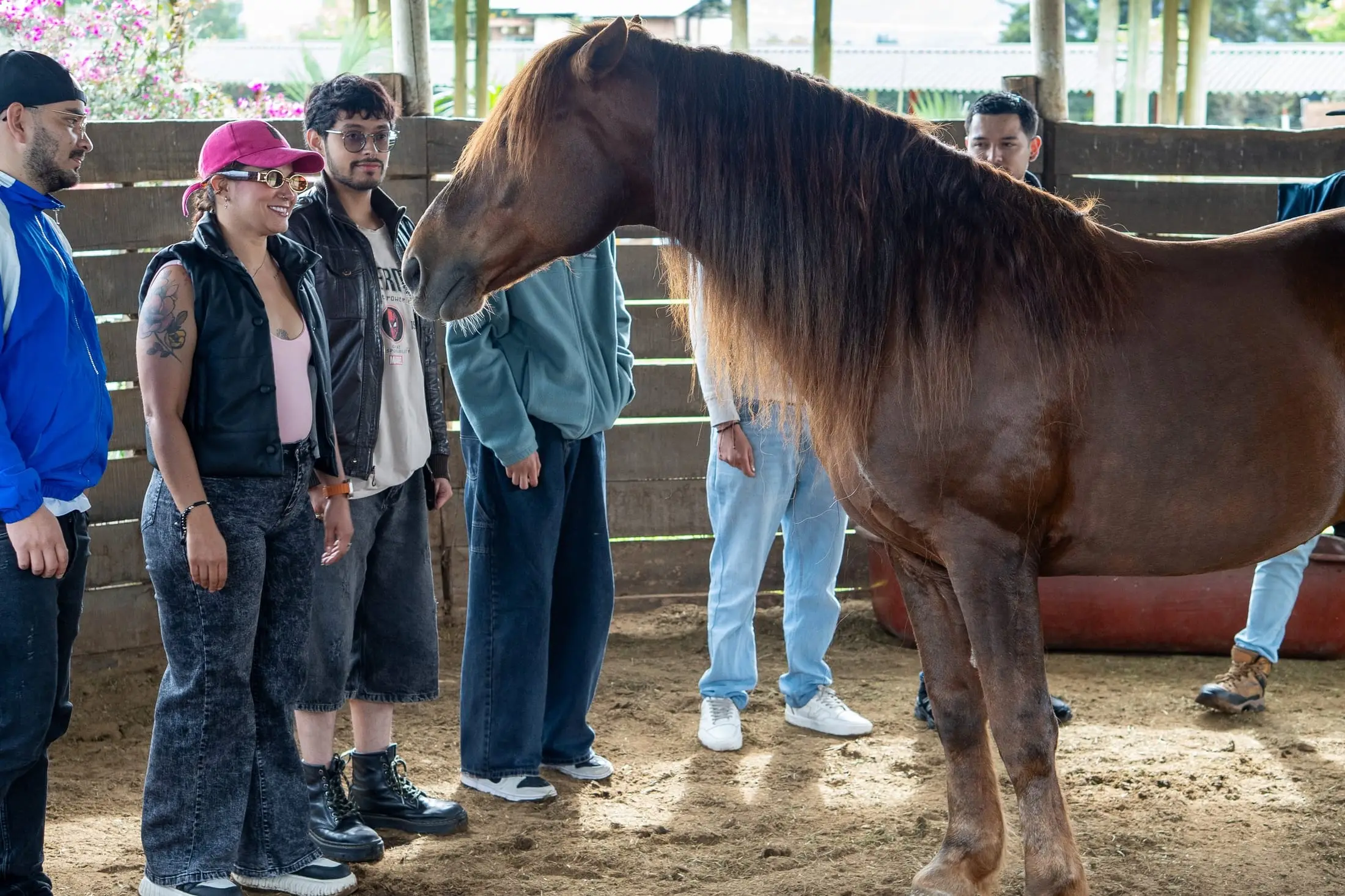 Coaching con caballos en Villa Juan